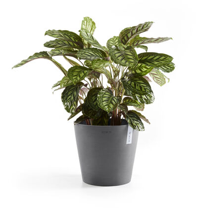 Ecopots Amsterdam grå 30 cm Ecopots Amsterdam grå 30 cm